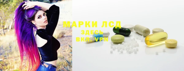 ПСИЛОЦИБИНОВЫЕ ГРИБЫ Рославль