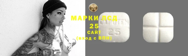 ПСИЛОЦИБИНОВЫЕ ГРИБЫ Рославль