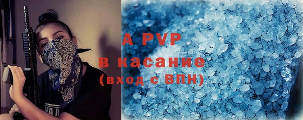 ПСИЛОЦИБИНОВЫЕ ГРИБЫ Рославль