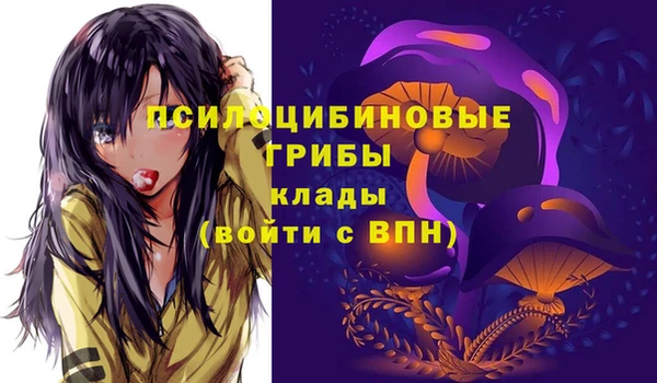 ПСИЛОЦИБИНОВЫЕ ГРИБЫ Рославль