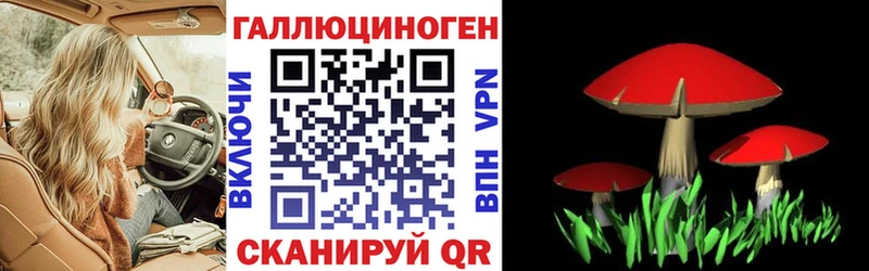 Галлюциногенные грибы GOLDEN TEACHER  Купить  Сортавала 
